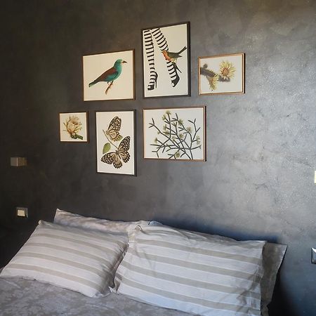 B&B La Casetta Dei Nonni Ορβιέτο Εξωτερικό φωτογραφία