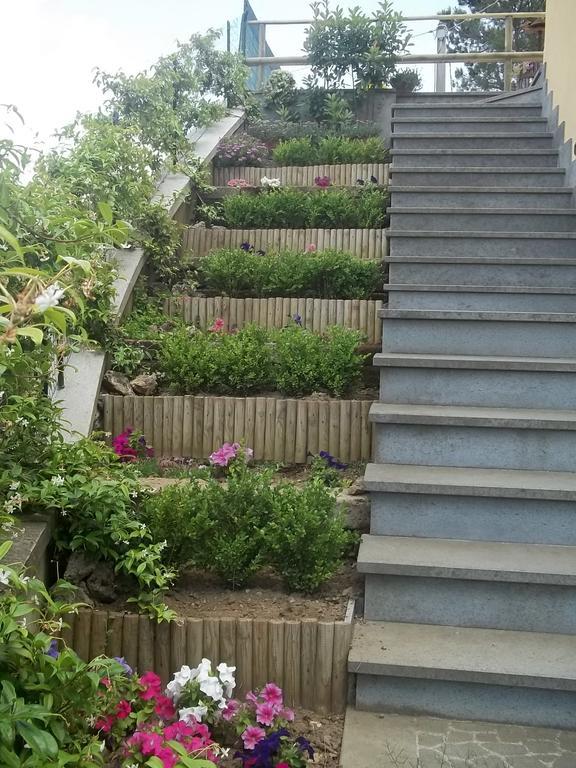 B&B La Casetta Dei Nonni Ορβιέτο Δωμάτιο φωτογραφία