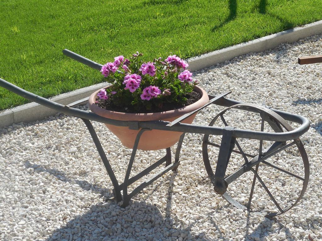 B&B La Casetta Dei Nonni Ορβιέτο Εξωτερικό φωτογραφία